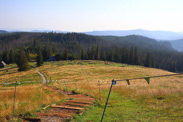 view of the Rusinowa Polana meadow from the mountain trail in the Tatra Mountains, Poland © JAROSLAW PIWOWARSKI