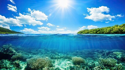 Underwater and Sunny Sky Split View: Split view showcasing serene underwater and sunny sky, blending natural elements for a tranquil scene.