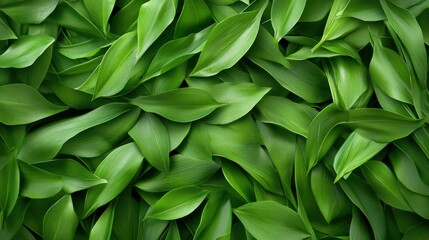 Fototapeta premium A natural green texture resembling soft grass or leaves, creating a fresh and organic feel.
