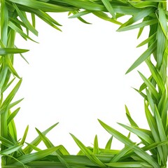 Green leaves frame