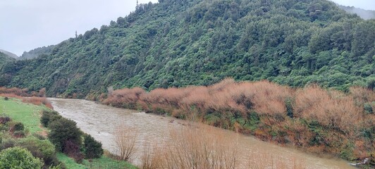 panorama of the mountains