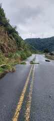 road to the sea