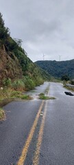 road to the sea