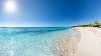 Relax on a stunning tropical beach featuring crystal-clear turquoise waters and soft white sand, basking under a bright cloudless sky, perfect for sunbathing and swimming