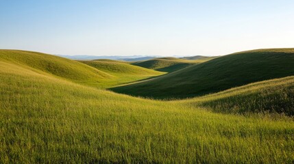 Fototapeta premium Vast grassy hills gently slope downward, creating a picturesque landscape where rolling hills meet the distant horizon under a bright sky