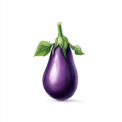 Simple watercolor eggplant isolated on a white background.
