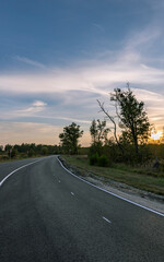 Fototapeta premium A road with a few trees in the background