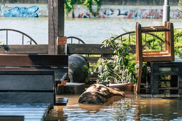 Heavy flooding along Danube river in Central Europe
