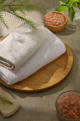 Spa theme photo with rustic concept from top view with wooden items and green plants, himalayan pink salt contained in wooden and glass bowl. Blank space for product displaying, fern plant decorative