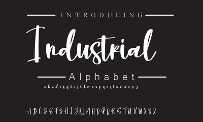 Minimalist Signature Font for Professional Invitations, Business Logos, and Fashion Branding