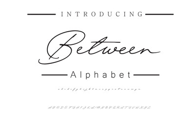 Elegant Handwritten Signature Font for Fashion Designers, Business Logos, and Wedding Invitations