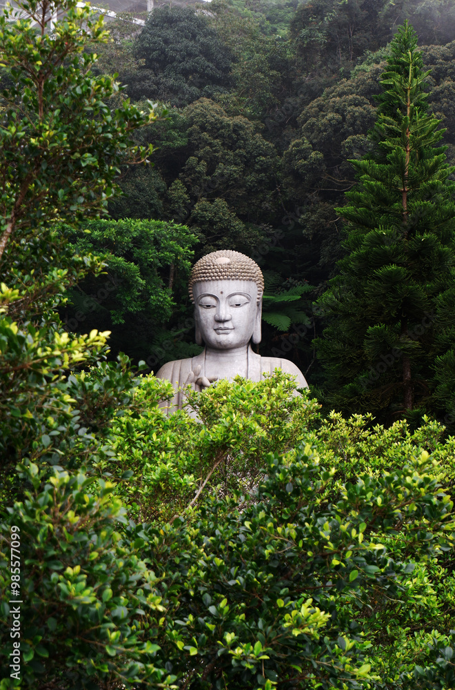 Wall mural a buddha stone statue surrounded by green trees