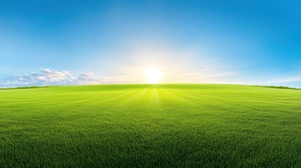 Obraz premium Expansive green grass field under a clear blue sky, offering a clean and open space for your design needs