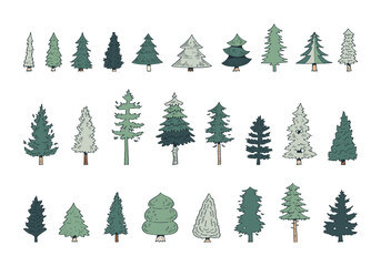 Obraz premium hand drawn side view cartoon pine tree illustration isolated on white background.