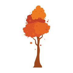 Beautiful autumn tree in cartoon style. Vector illustration of yellow, red different types of autumn tree and bushes with leaves isolated on a white background