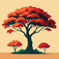 Delonix regia tree illustration
