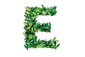 Letter E with Lush Tropical Leaves and Botanical Typography, Nature-Inspired Alphabet Design on Transparent Background, Perfect for Eco-Friendly and Tropical Themes