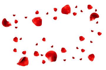 Realistic red rose petals flying around isolated