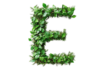 Letter E with Lush Tropical Leaves and Botanical Typography, Nature-Inspired Alphabet Design on Transparent Background, Perfect for Eco-Friendly and Tropical Themes