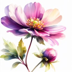 Obraz premium sunflower, flower, summer,