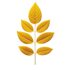 Obraz premium A Golden Treasure | Nature's Masterpiece | A Touch of Autumn | Golden Goodbye | PNG image of isolated transparent background 300 dpi high resolution 
