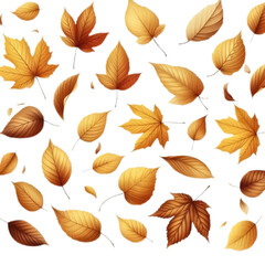 Obraz premium A Symphony of Colors | Autumn's Beauty | Dancing Leaves | Nature's Masterpiece | PNG image of isolated transparent background 300 dpi high resolution 