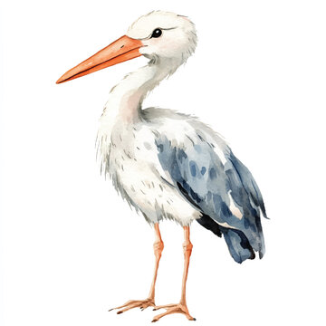recommend clip art: Stork watercolor clipart illustration isolated