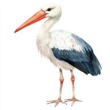 recommend clip art: Stork watercolor clipart illustration isolated