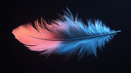 Obraz premium A single feather with a vibrant blue and pink color gradient against a black background.