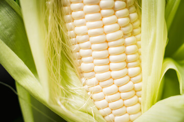 とうもろこし