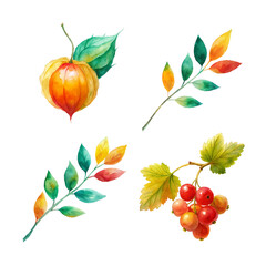autumn leaves and berries, watercolor style