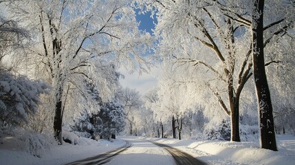 Obraz premium Winter wonderland: 
