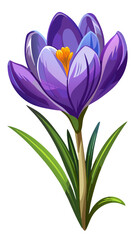 purple crocus flower, Illustration of Crocus Flower, Vibrant Crocus Vector Illustration - Delicate Purple Petals with a Bright Yellow Center, Perfect for Early Spring Garden Themes