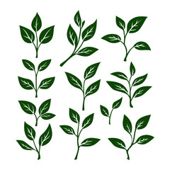 tea leaves vector. tea sprout with leaves. silhouette of tea leaves. tea Leaf silhouette Collection. 