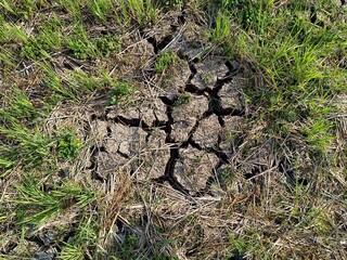 High resolution image showing dry, cracked soil surrounded by Green grass due to a long dry season