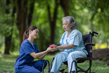 urse Handing Dumbbells to Elderly Woman in Wheelchair During Outdoor Exercise, Promoting Strength and Mobility