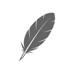 Feather illustration, natural element symbolizing creativity and inspiration