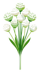Illustration of Allium Flower, Stunning Allium Flower Vector Illustration - Exquisite White Globe with Radiating Petals, Perfect for Landscaping and Decorative Themes
