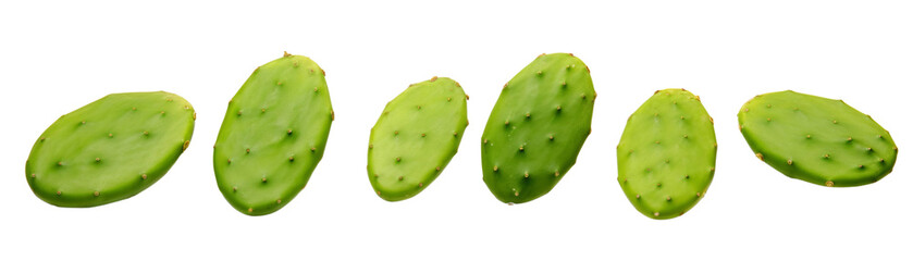 Cactus pads arranged in a row, white isolated background.