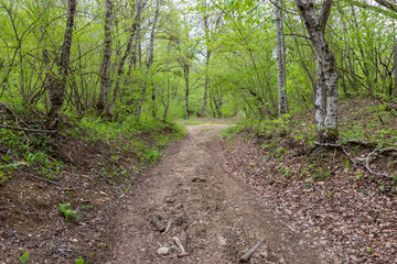 shallow mountain river, staritsa and nature walks, spring day