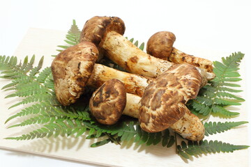 国産松茸