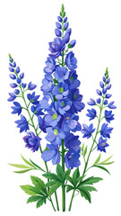 Obraz premium Illustration of Delphinium Flower, Exquisite Delphinium Flower Vector Illustration - Towering Spikes of Blue and White Blooms, Perfect for Garden Themes and Floral Arrangements