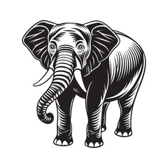  Cute Baby Elephant Vector Art Collection.
