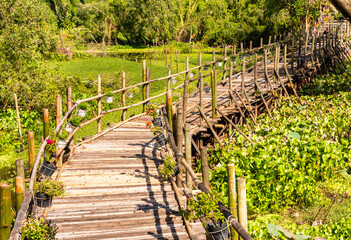 Wooden bridge in Vietnam among green tropical plants