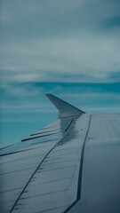 The Summer City Sight in London's Tourist Destination