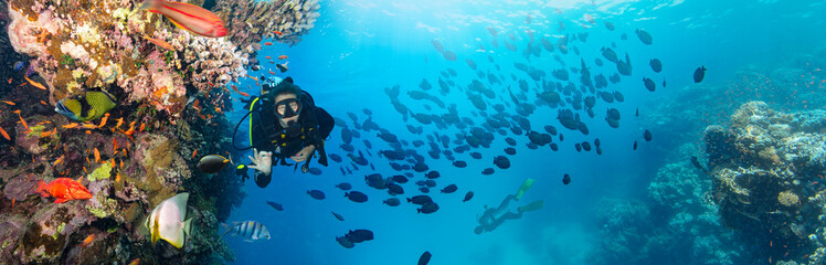 Scuba Diver Swimming in Deep Sea with Sunrays and Beautiful Coral Reef with Colorful Fishes