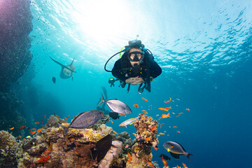 Scuba Diver Swimming in Deep Sea with Sunrays and Beautiful Coral Reef with Colorful Fishes