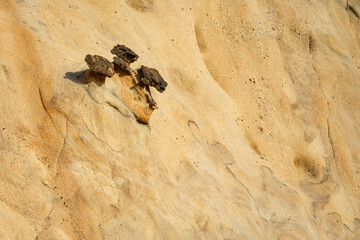 Natural texture background of sandstone rocks with lines, curves, prints in the As Amoeiras and Formosa beach cliffs in Santa Cruz, Portugal.