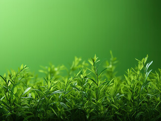 Fototapeta premium Excellent spring background