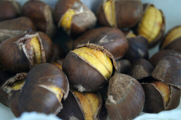 A close-up of a fully ripe chestnut bursting open